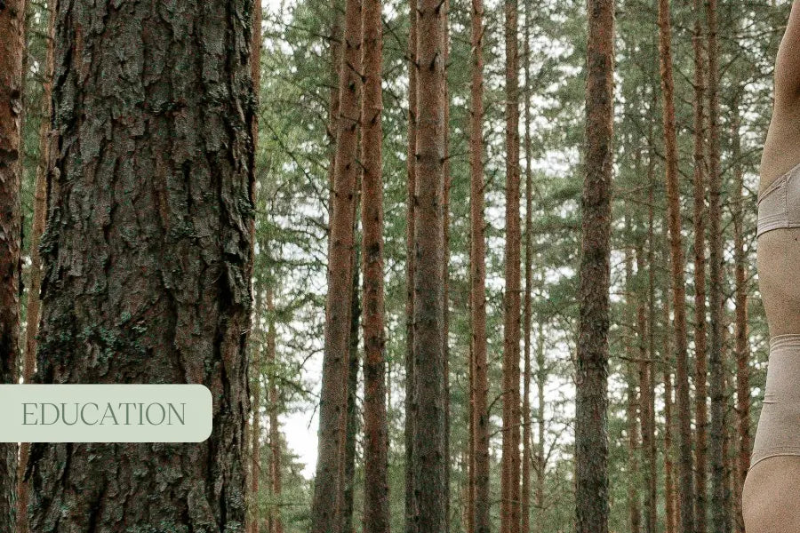 Understanding the Endocannabinoid System