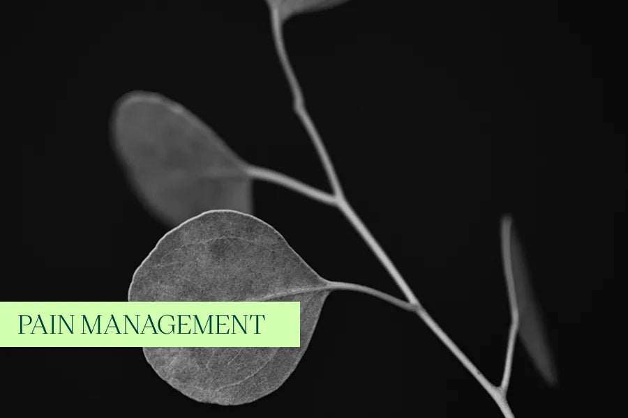 Navigating Chronic Pain and Endometriosis with Medicinal Cannabis