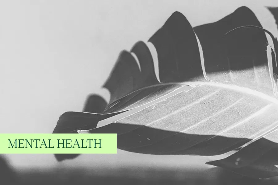 Navigating Mental Health with Natural Therapies