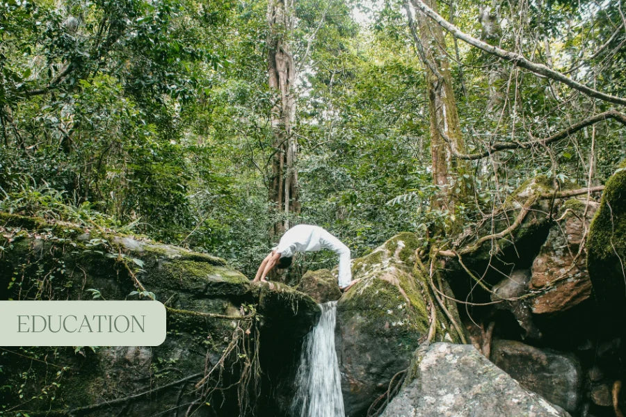 Why Representation and Cultural Diversity Matter in Holistic Health