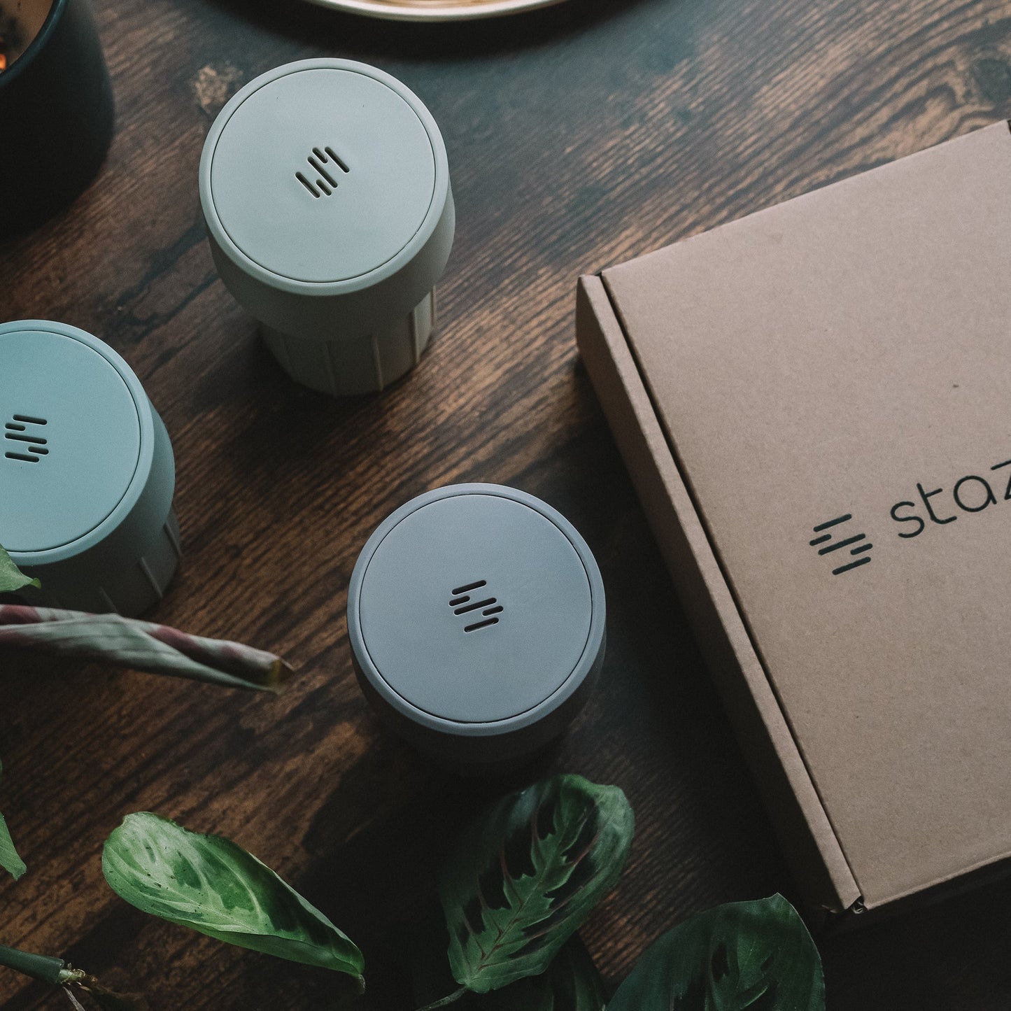 The Staze Preserve Vacuum Seal Jar - Clay