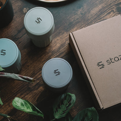 The Staze Preserve Vacuum Seal Jar - Clay